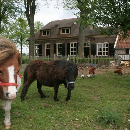 Buitenoosten Voorst Gem Voorst
