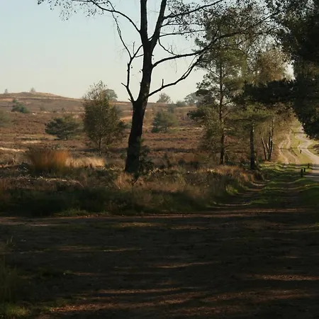 Buitenoosten *